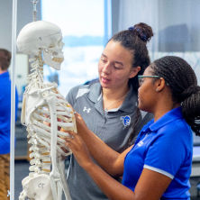 Students examining skeleton