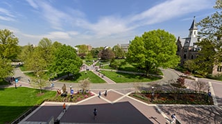 Image of the campus green 