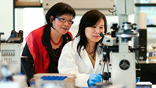 Professor Sulie Chang in a Research Lab
