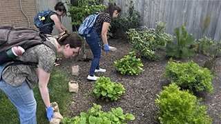 The College of Arts and Sciences Goes Green