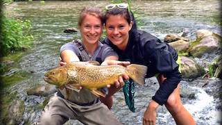 fly fishing trout