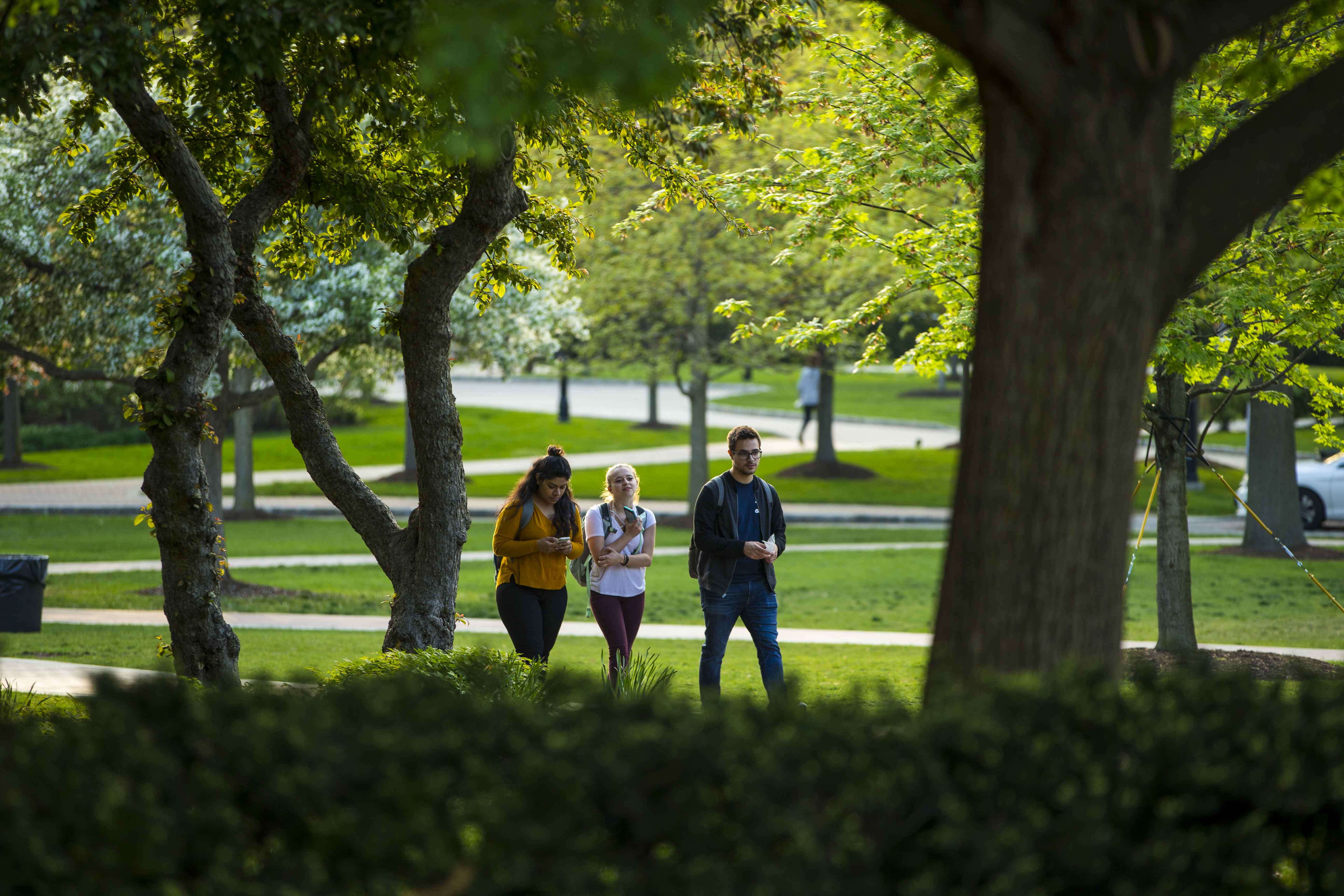 Students Walking Across Campus