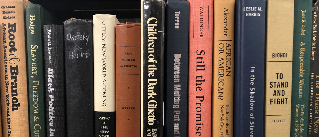 Spines of books related to Africana Studies on a shelf