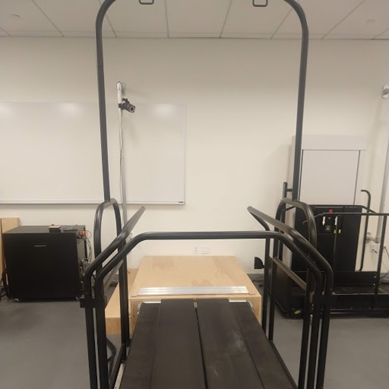 Photo of a treadmill.