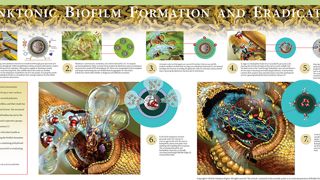 BiofilmFormationEradicationx320 Illustrates the seven phases of how bacteria grows and multiplies. The first three vignettes intrinsically depict how planktonics form bacteria creating pods that interact and multiply.