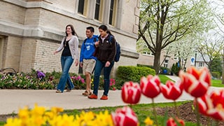 Campus in the Spring