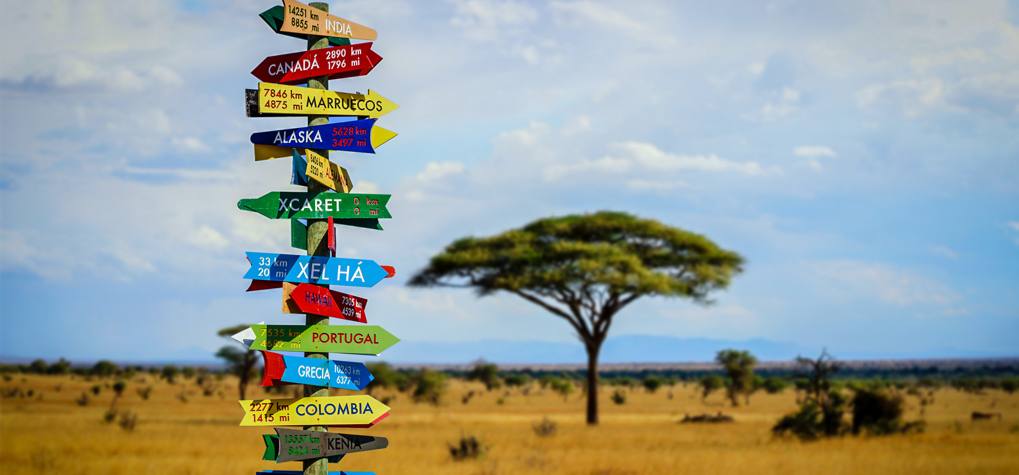 Image of a sign pointing to different areas of the world in a desert. 