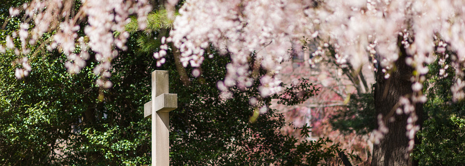 Cross in Garden