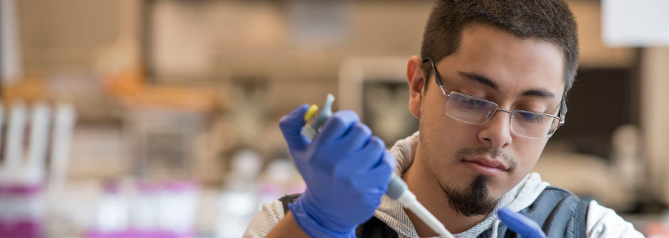 Department of Biological Sciences