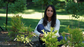 Christina Perez sitting among the plants at the “Tiny Forest” project in Summit, New Jersey.