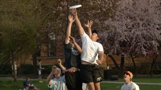 Students throwing frisby on the green