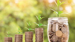 Coins stacked with plants sprouting on top.