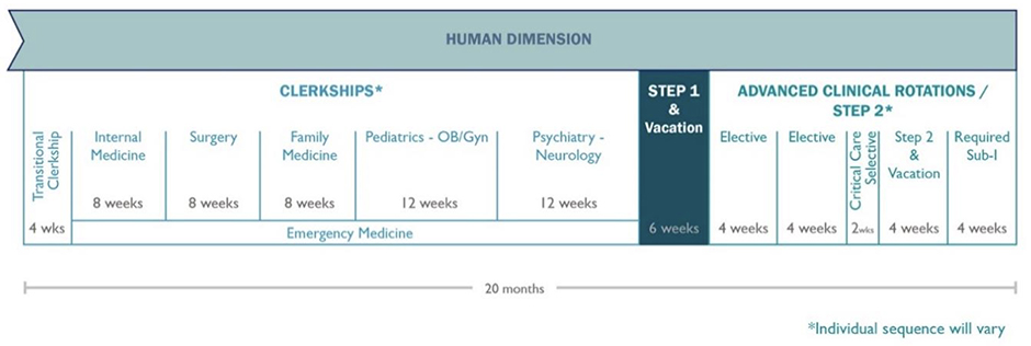 Human Dimensions Phase 2