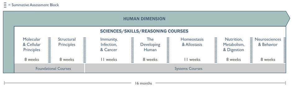 Human Dimensions Graphic