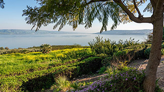 northern israel