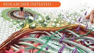 MedicalEducationDynamicsx320 Depicts the process of implanting dermal host tissue where human skin has been compromised.