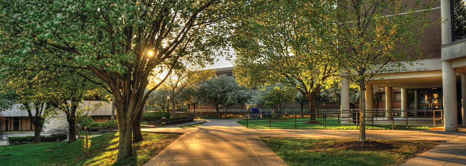 Shot of the campus. 