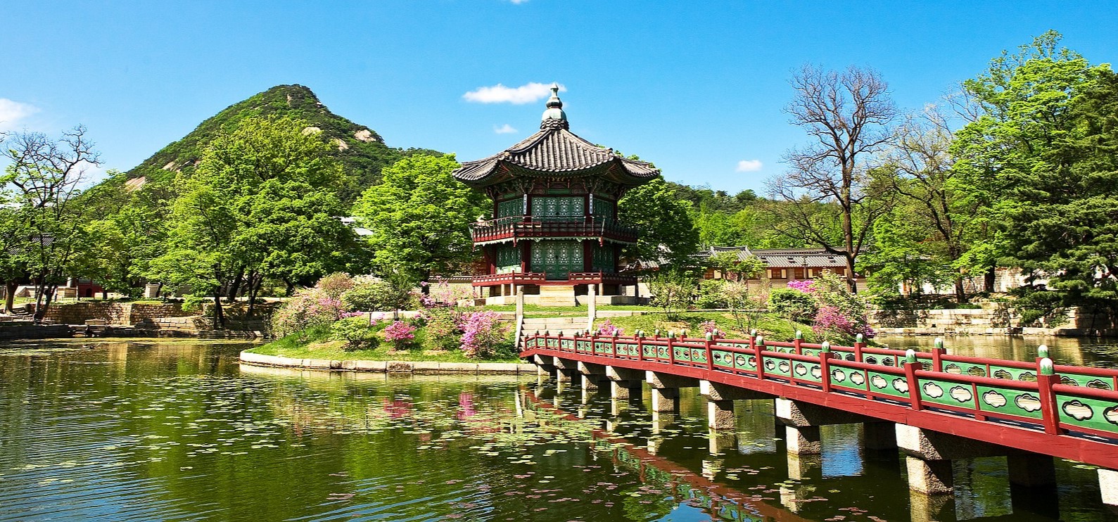Seoul garden in South Korea