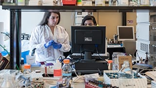 Research Students in a Biochemistry Lab