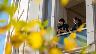 Students looking across campus from the Rotunda of the Library.
