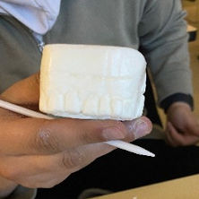 A photo of a teeth model