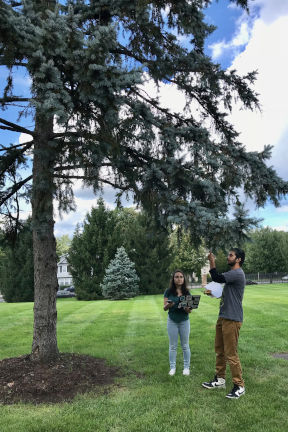 Environmental Studies students standing beside trees
