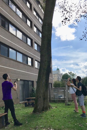 Environmental Studies students standing beside trees