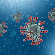 Photo of a Virus