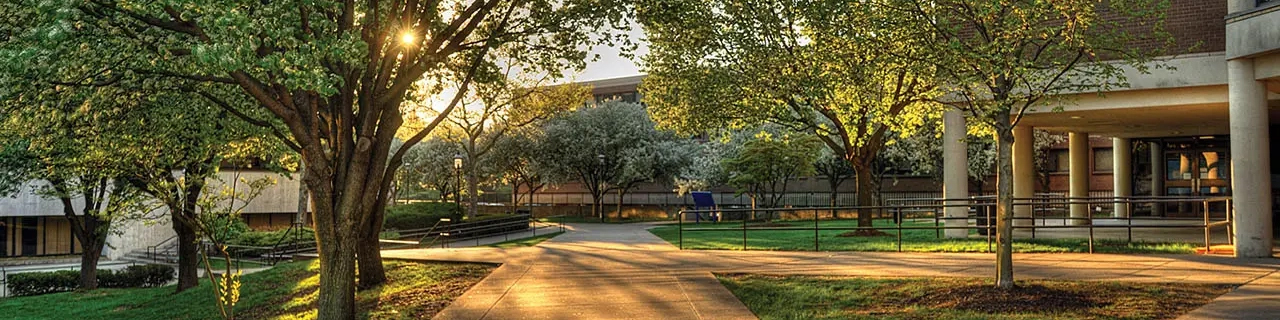 Walkway on campus