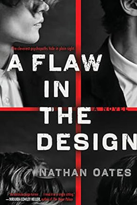 A Flaw in the Design Book Cover