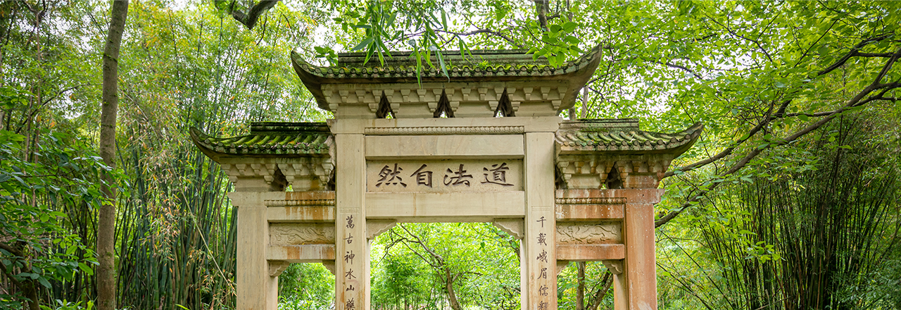 An archway in a garden