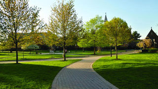 Campus shot 