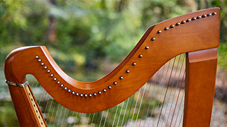 Image of a Celtic harp with several strings in a forest 