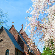 Chapel Spring