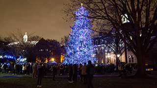 Christmas at the Hall Tree Lighting