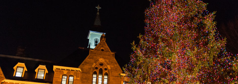 An image of the Christmas Tree Lighting Ceremony. 