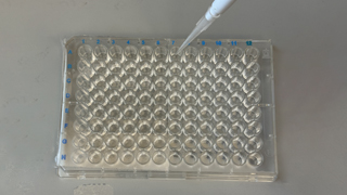 Cytokines Lab Dish