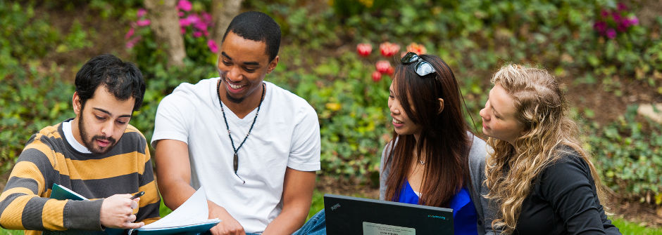 A group of students sitting on the grass. 