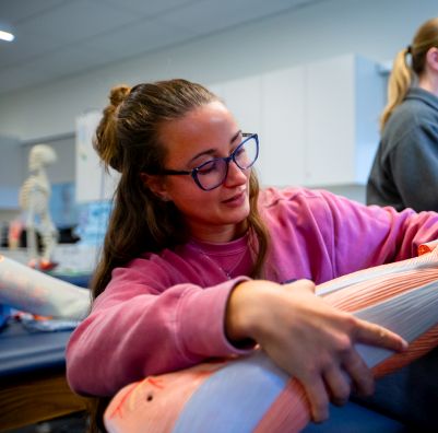 SHU DPT Student working with a scale model
