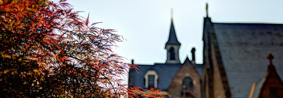 Seton Hall Campus Building tops and Tree with red foliage