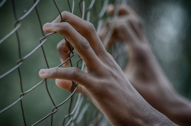 Hands poking out through a fence.