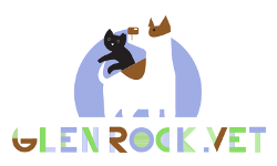 Logo for Glen Rock Vet including and cat and a dog cartoon.