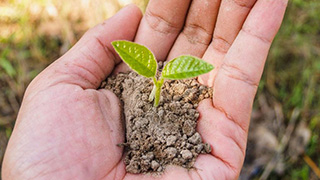"Cultivating Green Power" Conference Raises Awareness about Food Insecurity and Community Gardening
