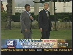 hassan_fox_4 hassan_fox_4
