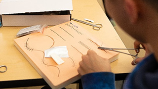 Pre-Professional Advising CenterA group of students practicing suture skills. A student practicing suture skills. 