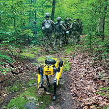 Military robot in the woods.