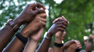 A group of people lifting up and holding hands. 