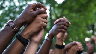A group of people lifting up and holding hands. 