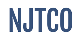NJ Therapeutic Care Options Logo