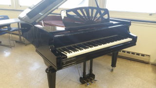 Rockley Piano 320 pic